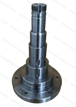 Rotor shaft